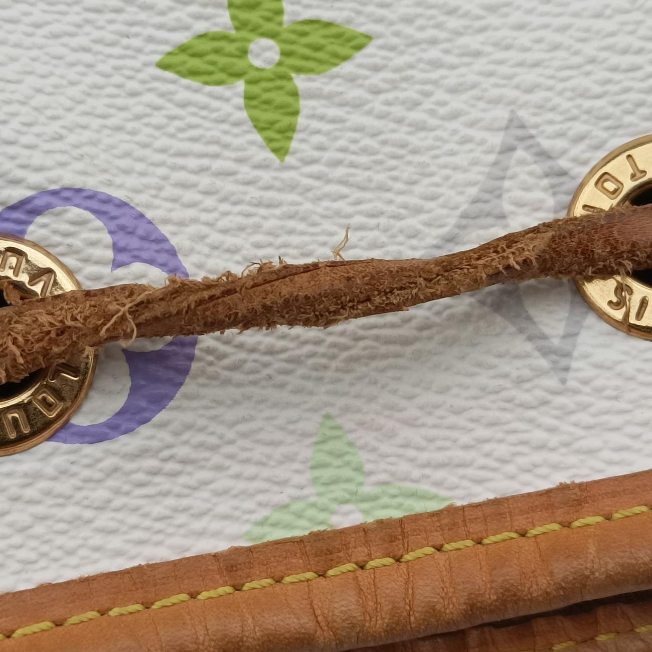 Pre-owned Louis Vuitton Petit NOé white Monogram Multicolor M42229 shoulderbag | stylenewstar