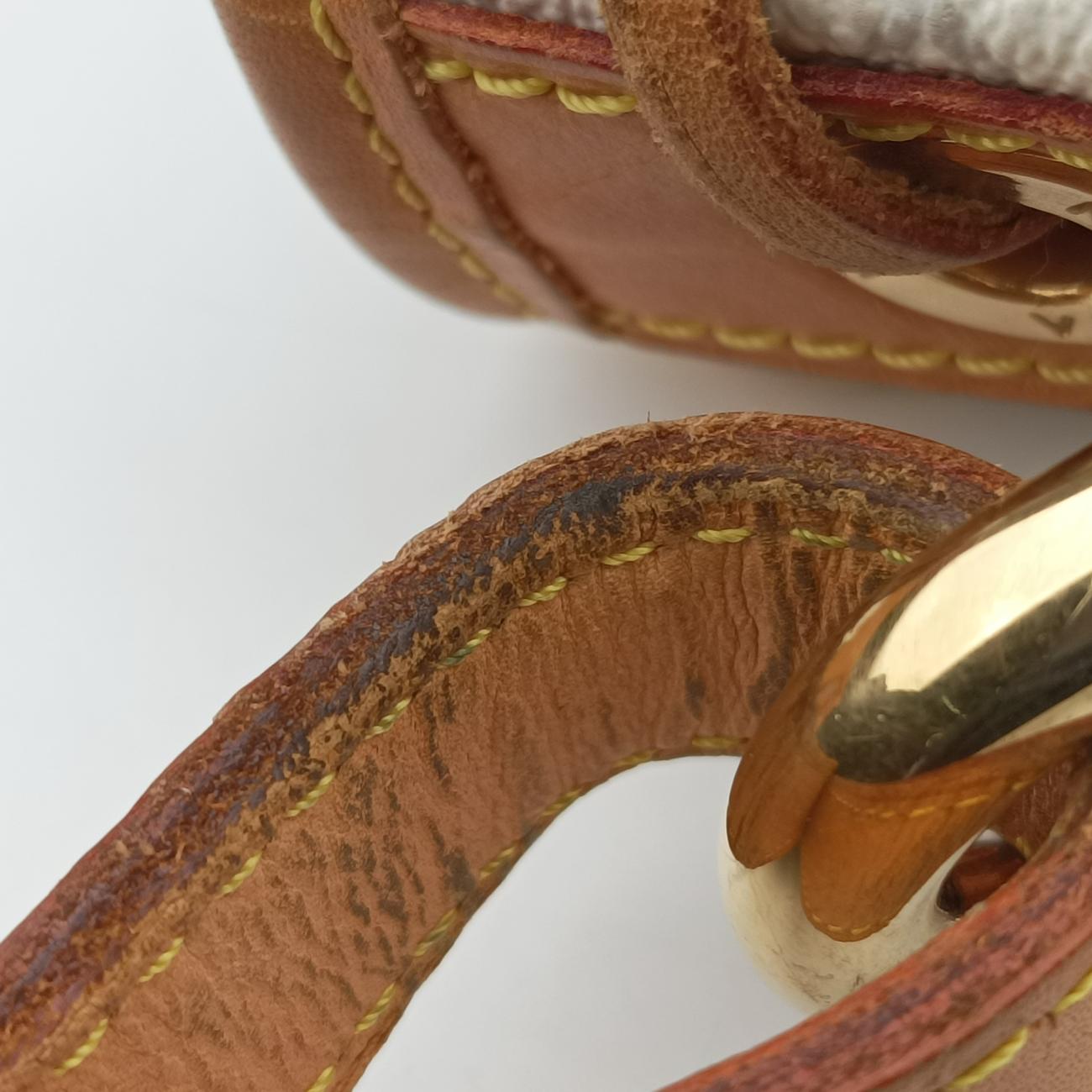 Pre-owned Louis Vuitton Petit NOé white Monogram Multicolor M42229 shoulderbag | stylenewstar