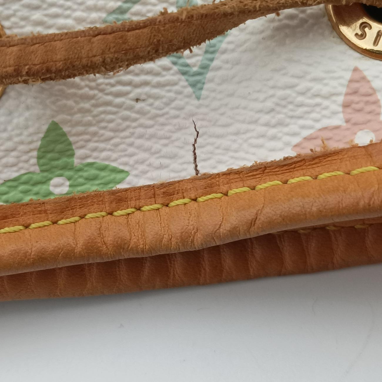 Pre-owned Louis Vuitton Petit NOé white Monogram Multicolor M42229 shoulderbag | stylenewstar