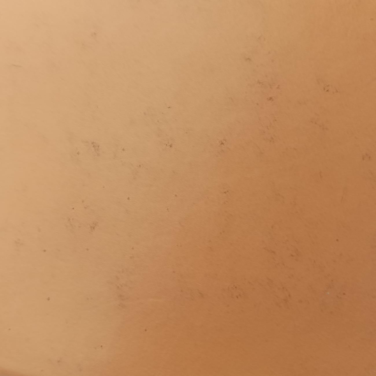 Pre-owned Louis Vuitton Petit NOé white Monogram Multicolor M42229 shoulderbag | stylenewstar