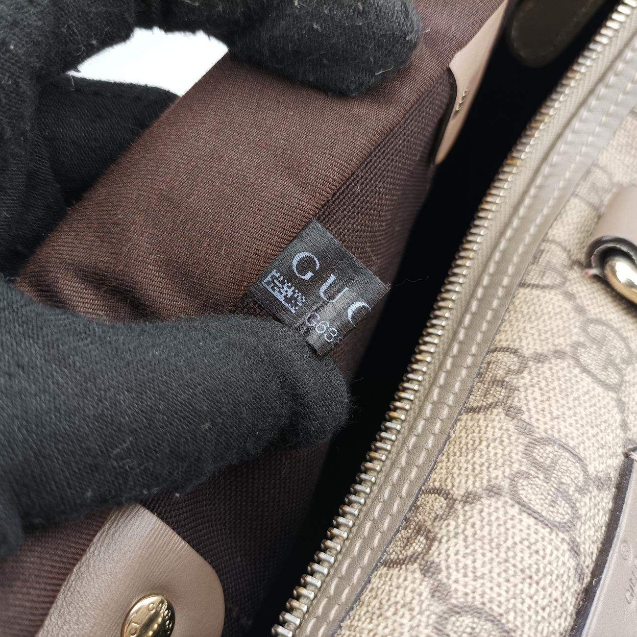 Pre-owned Gucci GG plus Spring Joy GG Supreme Brown PVC coated canvas 193603 handbag | stylenewstar