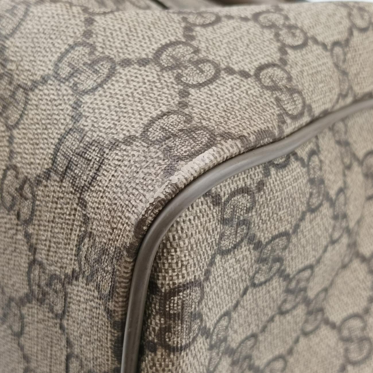 Pre-owned Gucci GG plus Spring Joy GG Supreme Brown PVC coated canvas 193603 handbag | stylenewstar