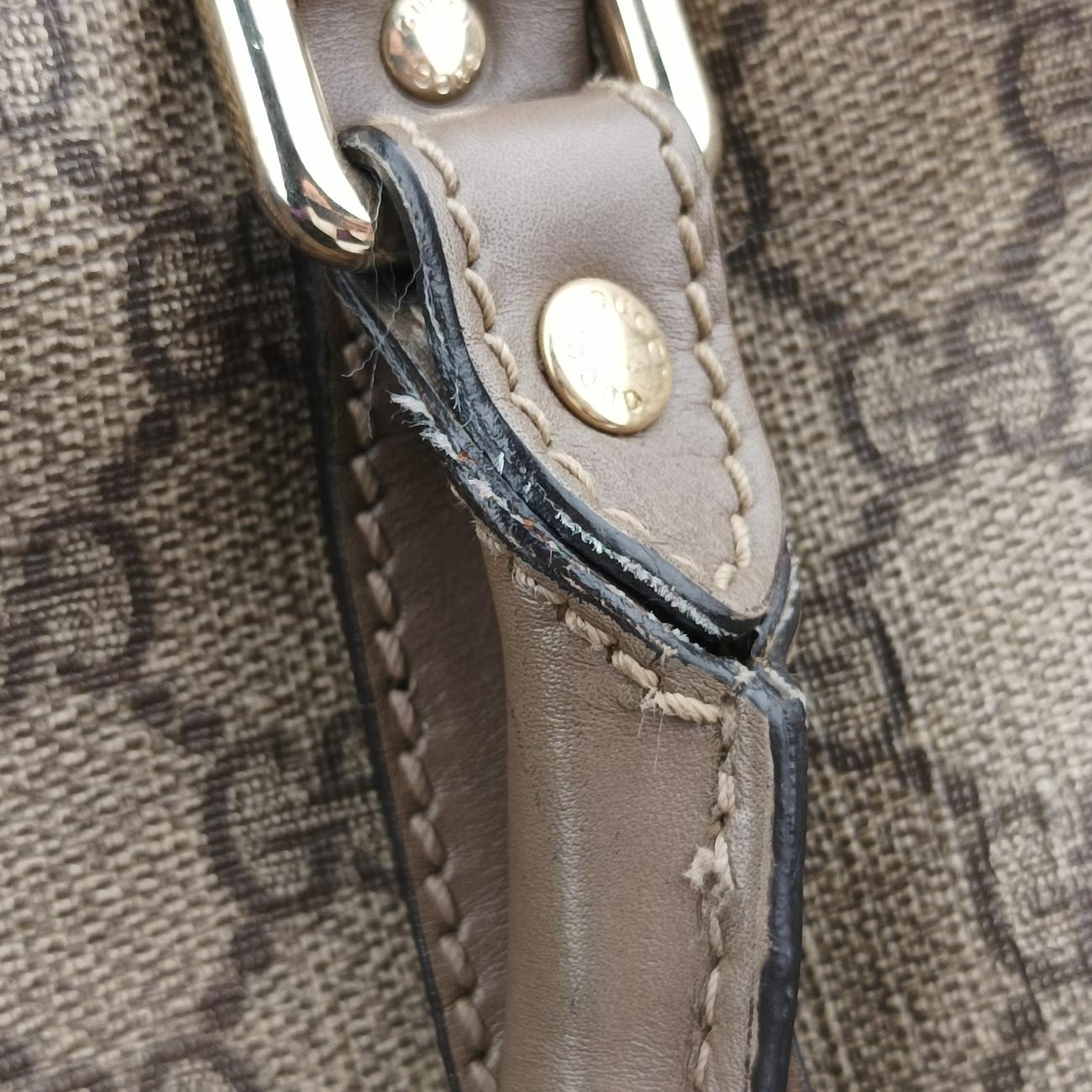 Pre-owned Gucci GG plus Spring Joy GG Supreme Brown PVC coated canvas 193603 handbag | stylenewstar