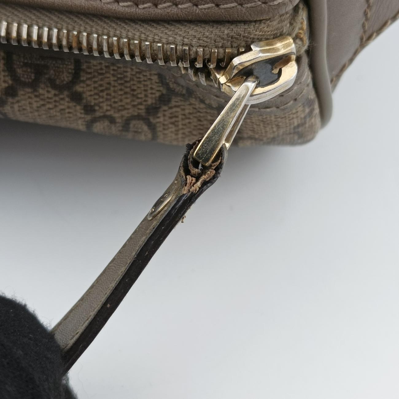 Pre-owned Gucci GG plus Spring Joy GG Supreme Brown PVC coated canvas 193603 handbag | stylenewstar