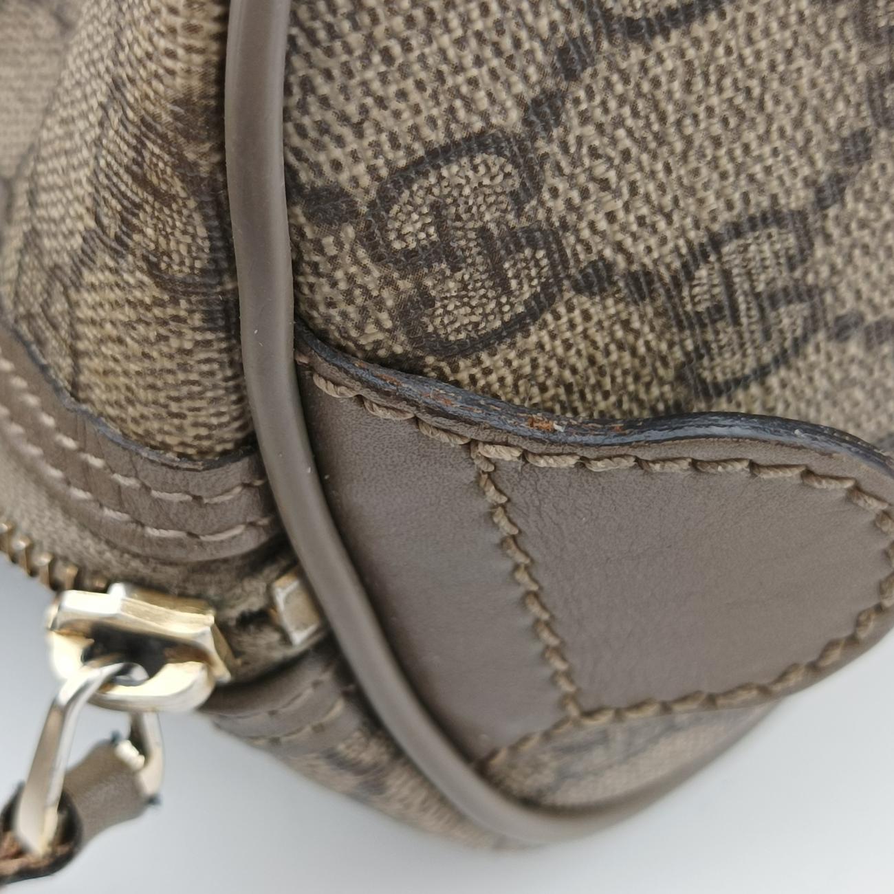 Pre-owned Gucci GG plus Spring Joy GG Supreme Brown PVC coated canvas 193603 handbag | stylenewstar