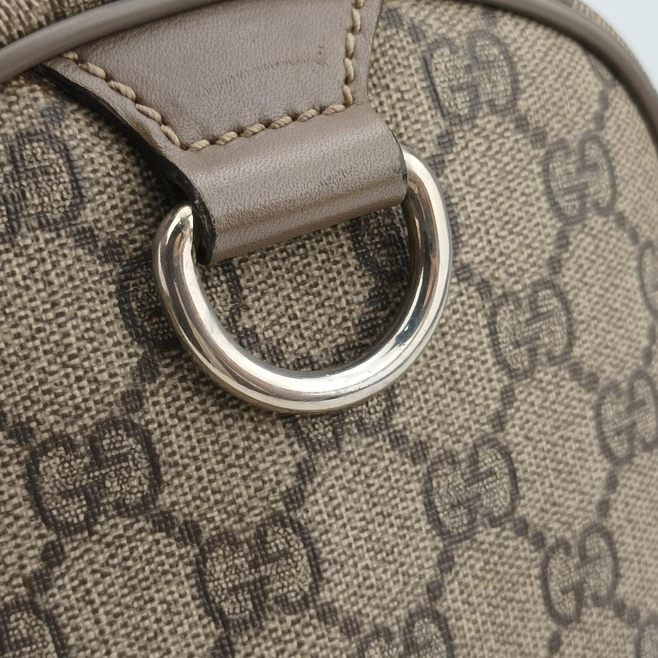 Pre-owned Gucci GG plus Spring Joy GG Supreme Brown PVC coated canvas 193603 handbag | stylenewstar