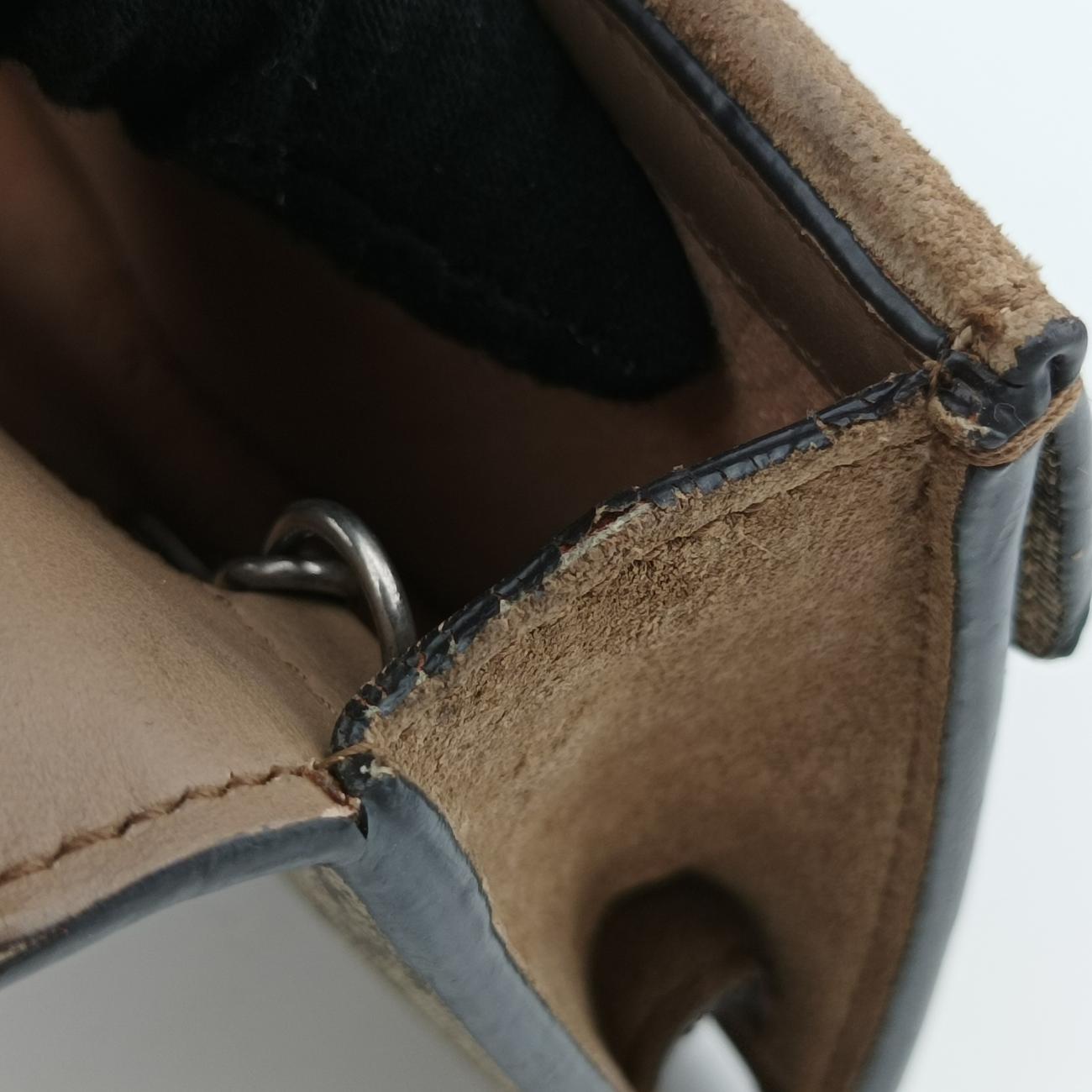 Pre-owned Gucci Dionysus Brown PVC coated canvas 476432 shoulderbag | stylenewstar