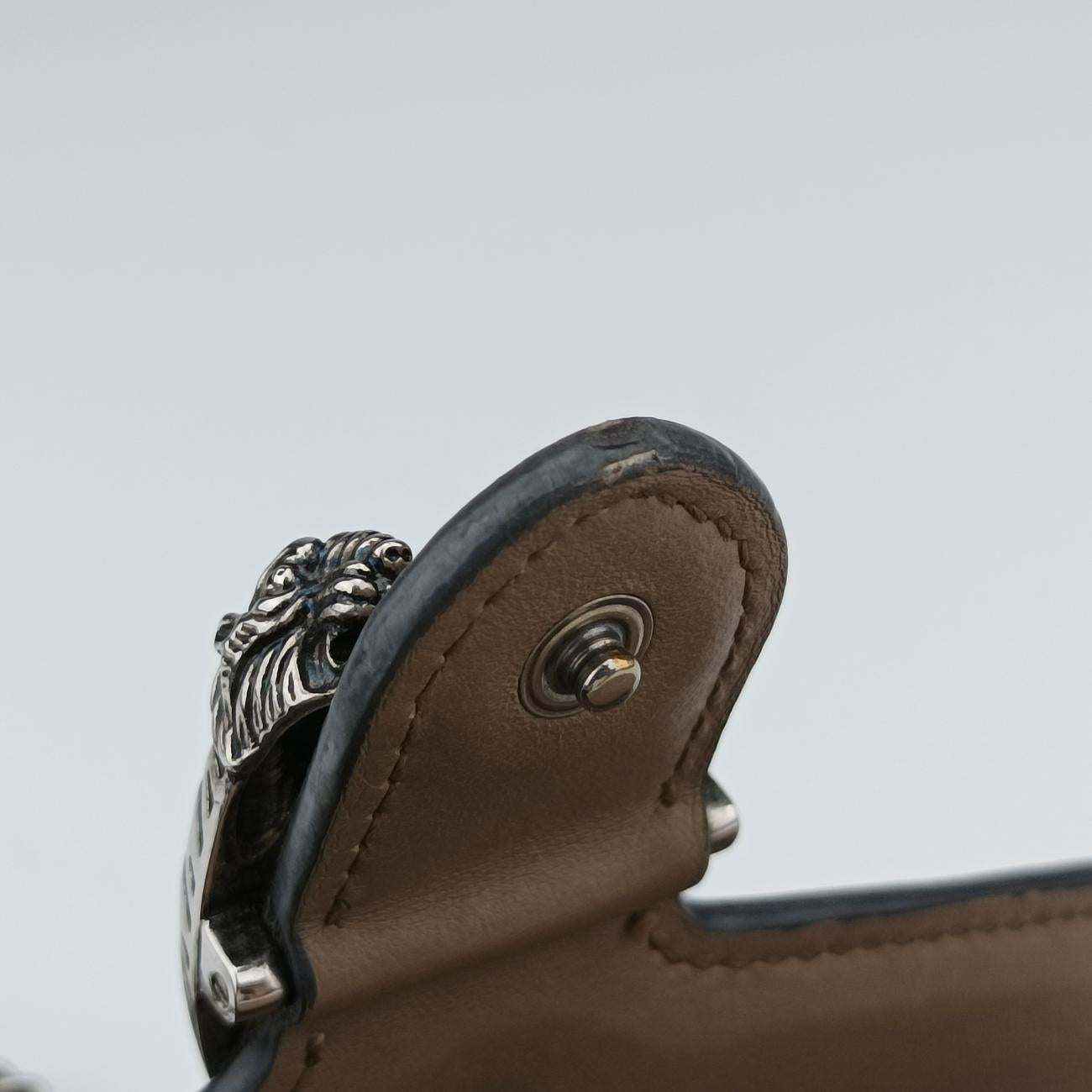 Pre-owned Gucci Dionysus Brown PVC coated canvas 476432 shoulderbag | stylenewstar