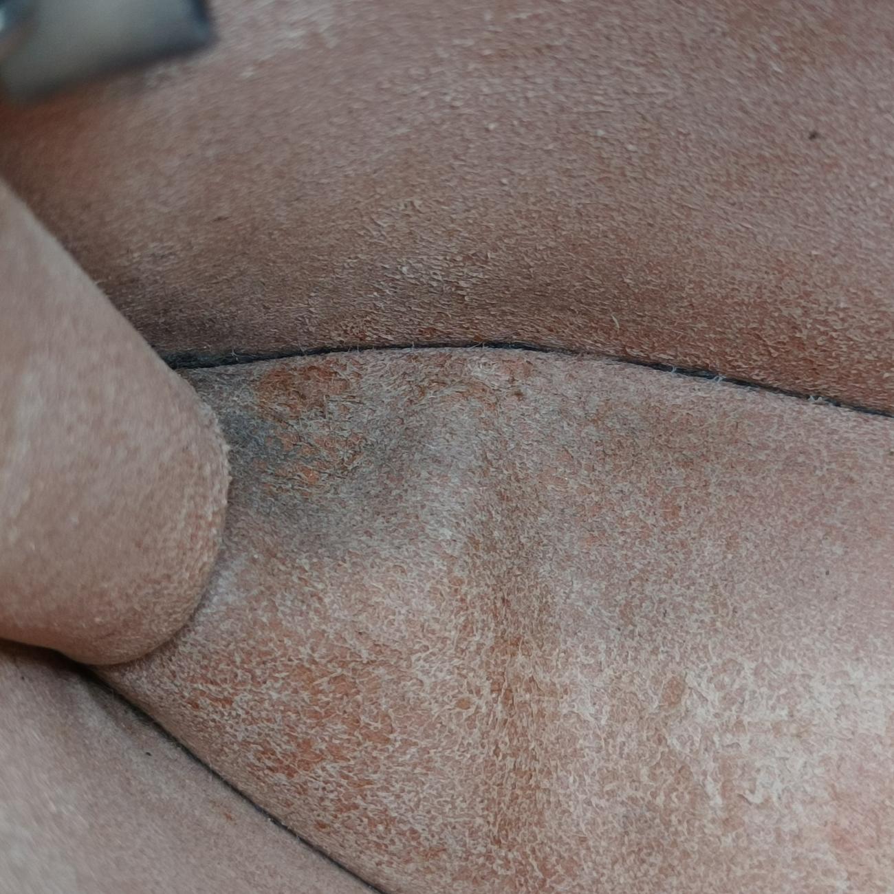 Pre-owned Gucci Dionysus Brown PVC coated canvas 476432 shoulderbag | stylenewstar