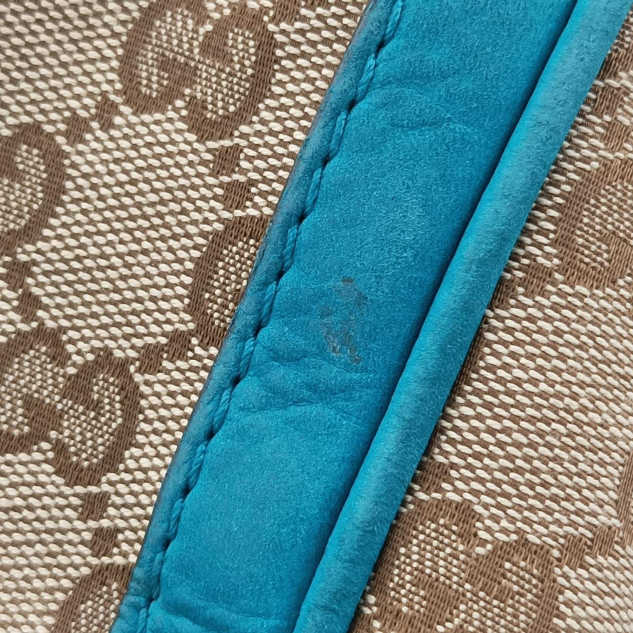 Pre-owned Gucci Sherry Line Beige x Blue x Navy PVC coated canvas 247205 shoulderbag | stylenewstar