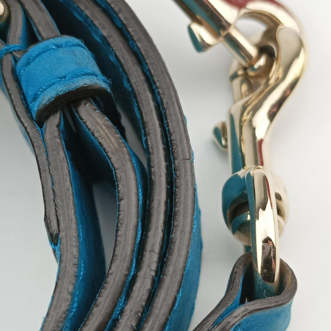 Pre-owned Gucci Sherry Line Beige x Blue x Navy PVC coated canvas 247205 shoulderbag | stylenewstar