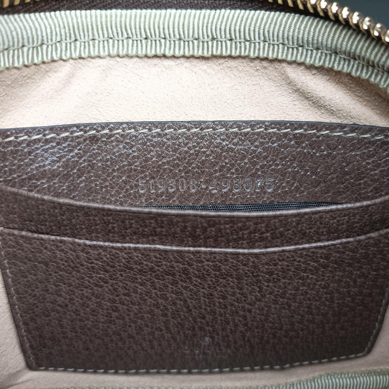 Pre-owned Gucci Ophidia Brown×Multicolour PVC coated canvas×Leather 519308 bum bag/waist bag | stylenewstar