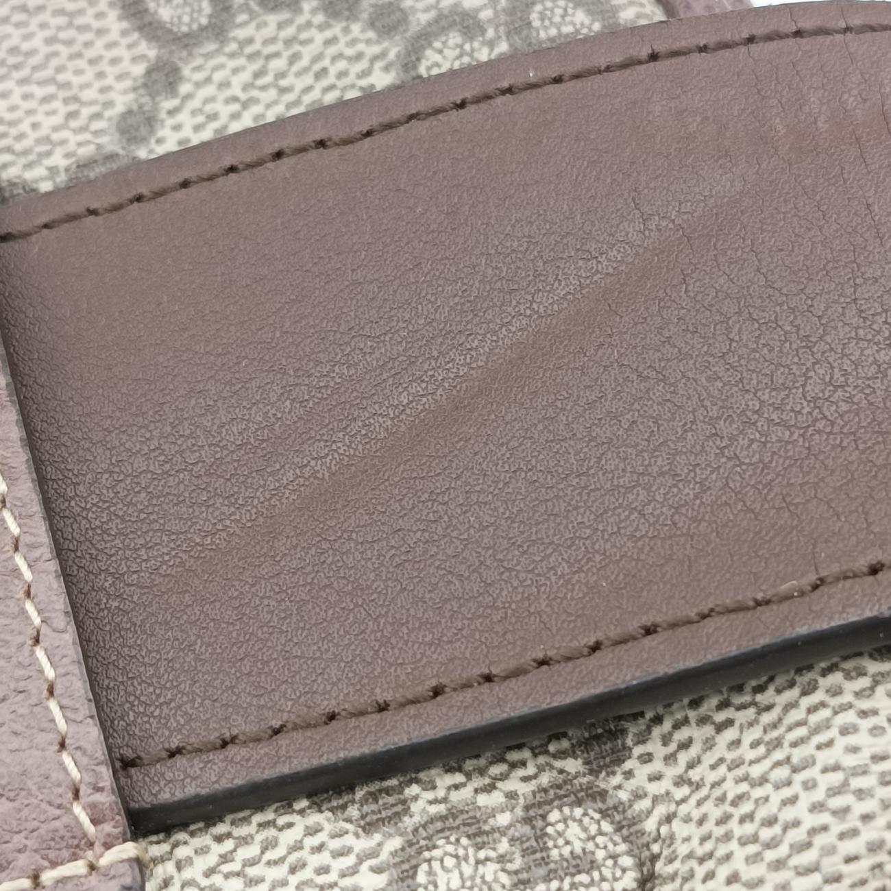 Pre-owned Gucci Ophidia Brown×Multicolour PVC coated canvas×Leather 519308 bum bag/waist bag | stylenewstar