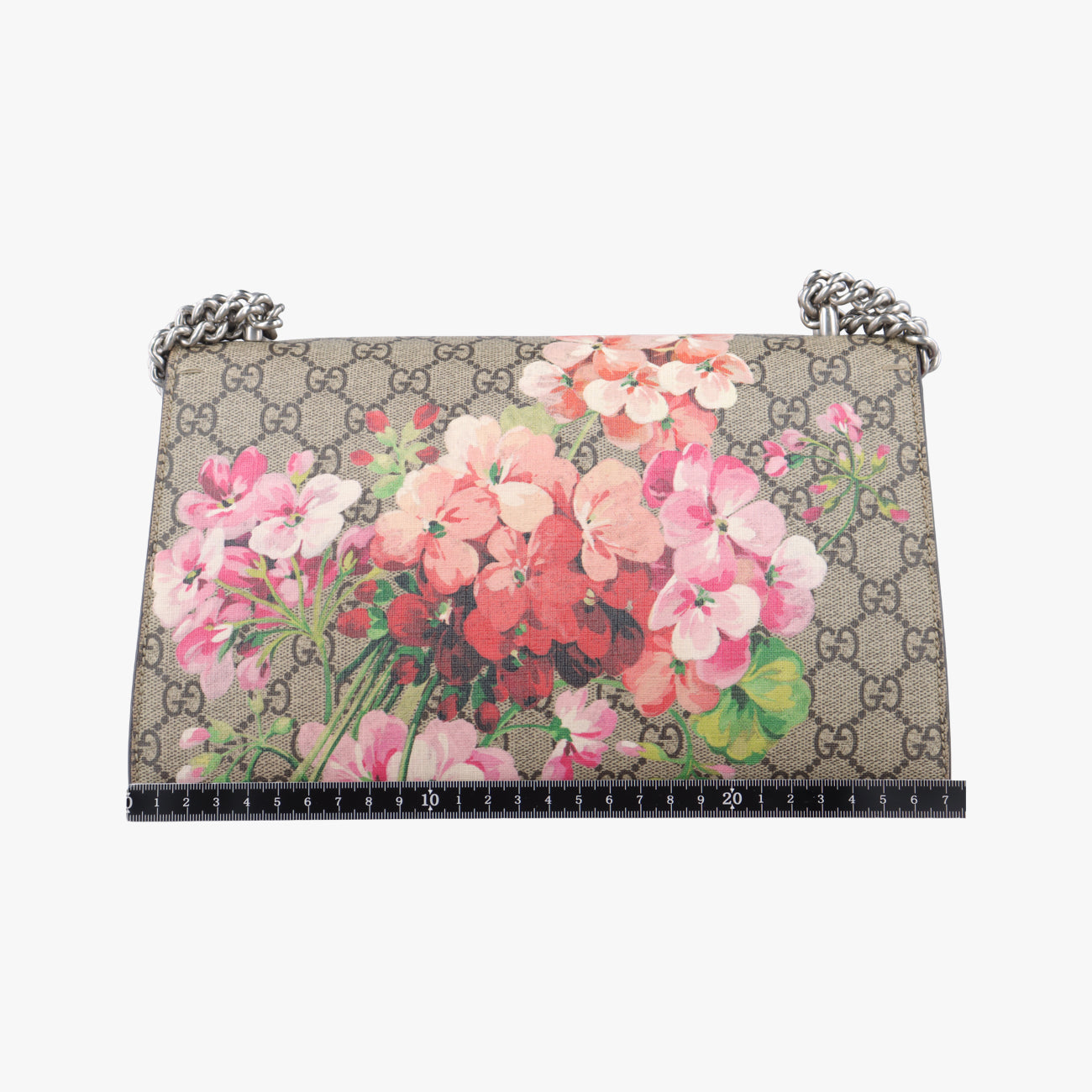 Pre-owned Gucci Dionysus beige×red×multicolor PVC coated canvas 400249 shoulderbag | stylenewstar