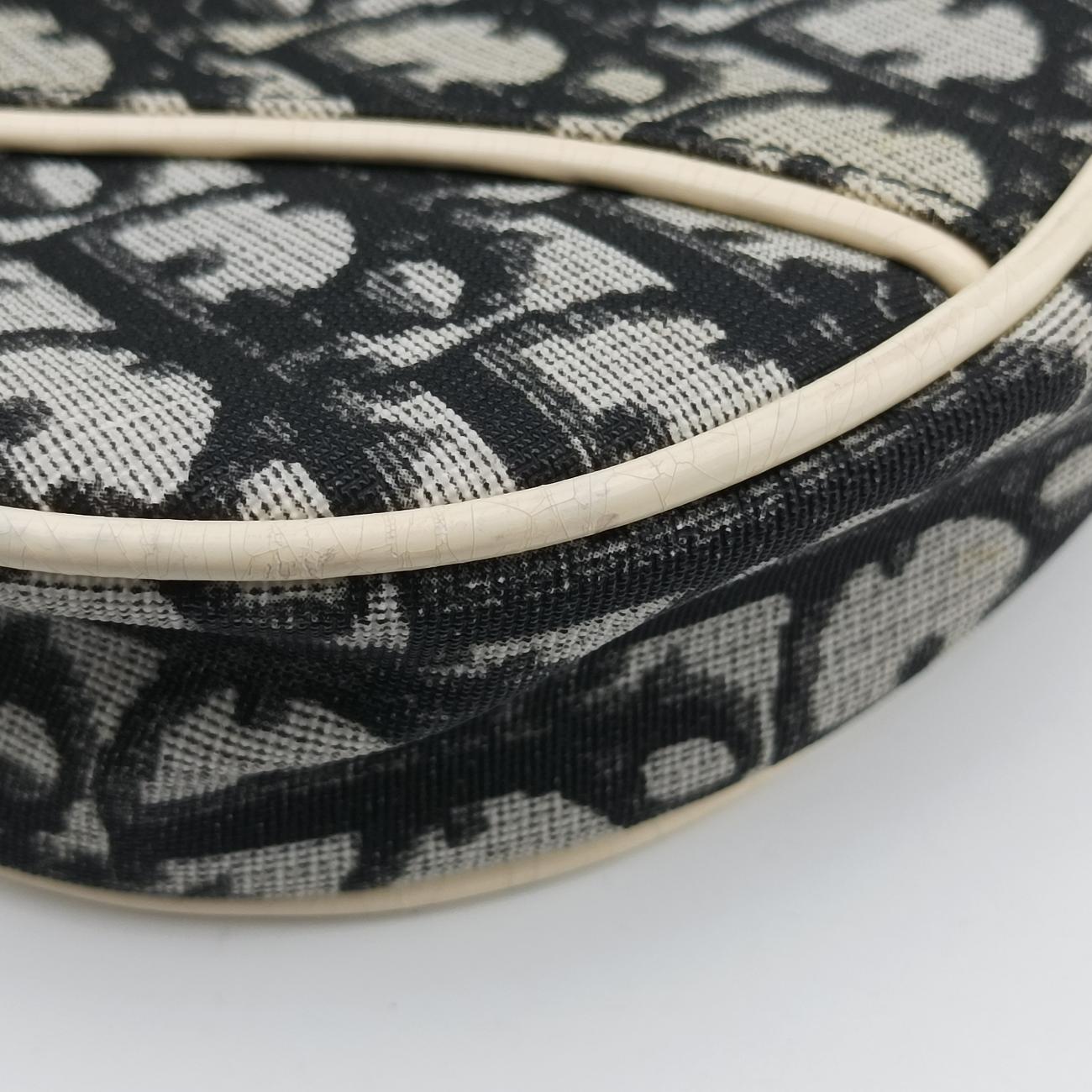Pre-owned Christian Dior Saddle Black x Gray x White Jacquard  handbag | stylenewstar