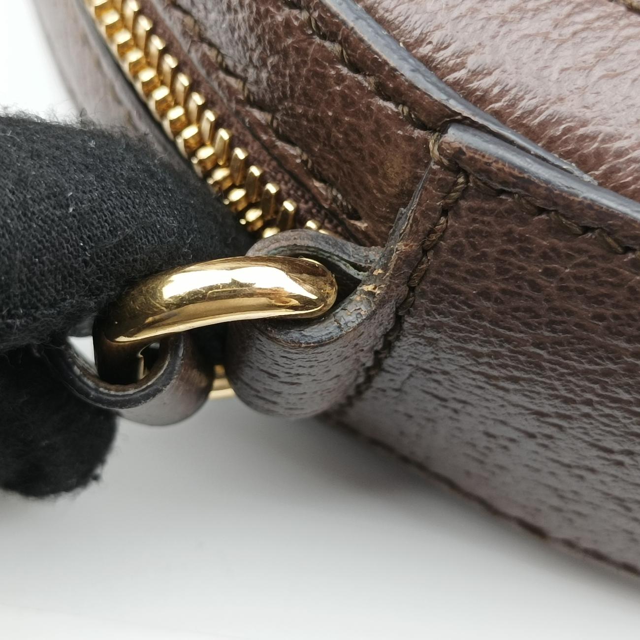 Secondhand Gucci Ophidia Brown×beige×Multicolour PVC coated canvas x leather 574978 shoulderbag | stylenewstar