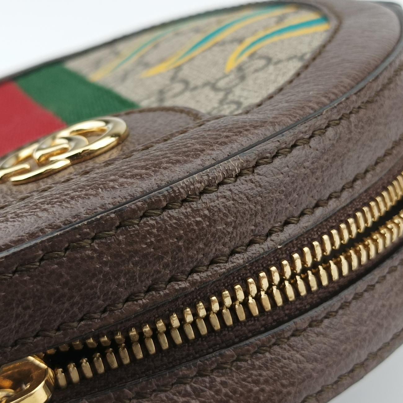 Secondhand Gucci Ophidia Brown×beige×Multicolour PVC coated canvas x leather 574978 shoulderbag | stylenewstar