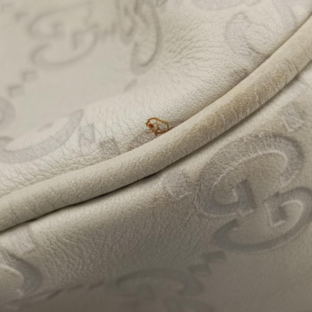 Pre-owned Gucci Emily Hobo Beige Leather 322226 shoulderbag | stylenewstar