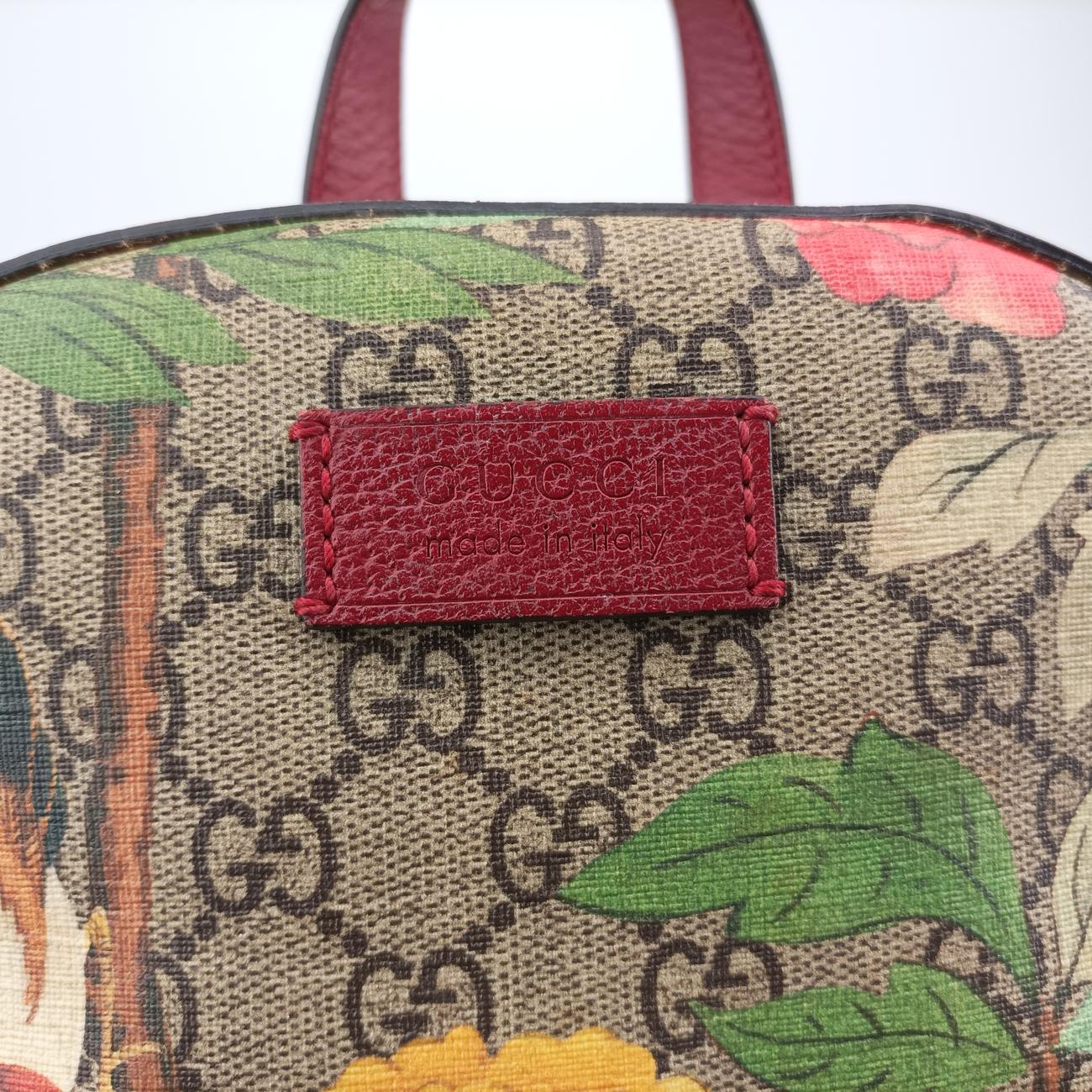 Pre-owned Gucci GG Supreme Tian Beige x red x multicolor PVC coated canvas 427042 backpack/rucksack | stylenewstar