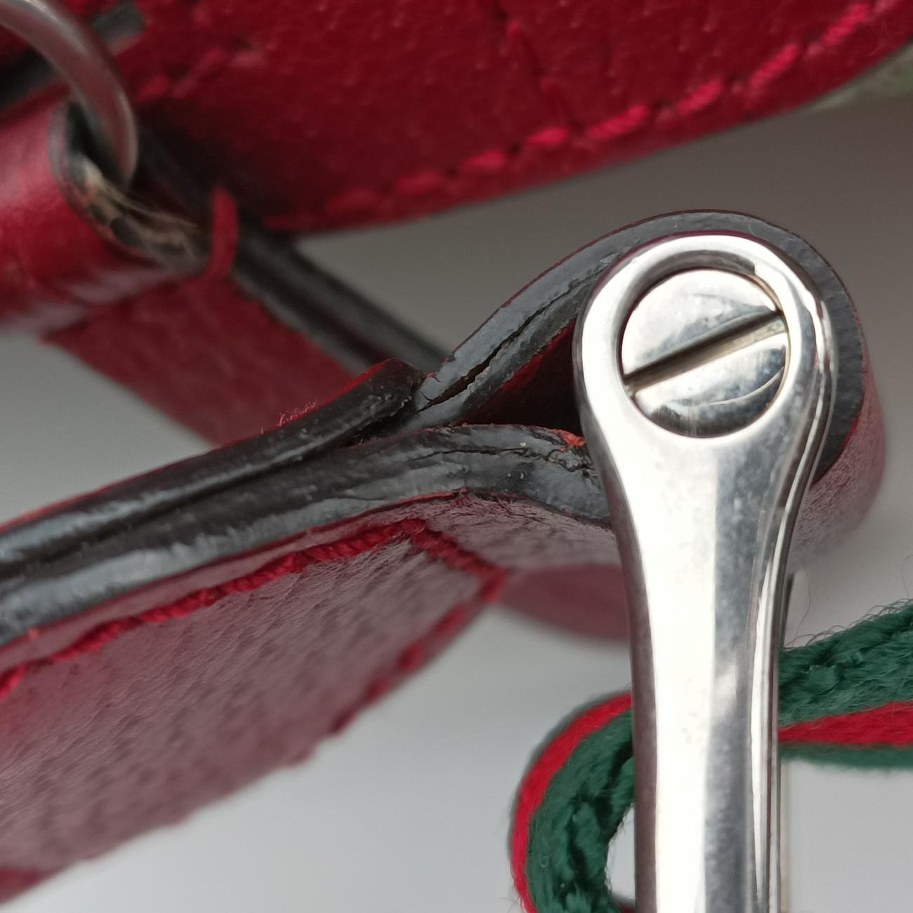 Pre-owned Gucci GG Supreme Tian Beige x red x multicolor PVC coated canvas 427042 backpack/rucksack | stylenewstar