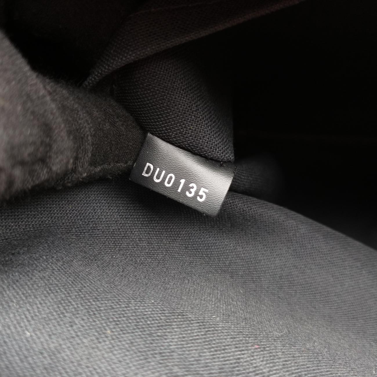 Secondhand Louis Vuitton Graphite Tadao PM Graphite Damier Graphite N41259 handbag | stylenewstar