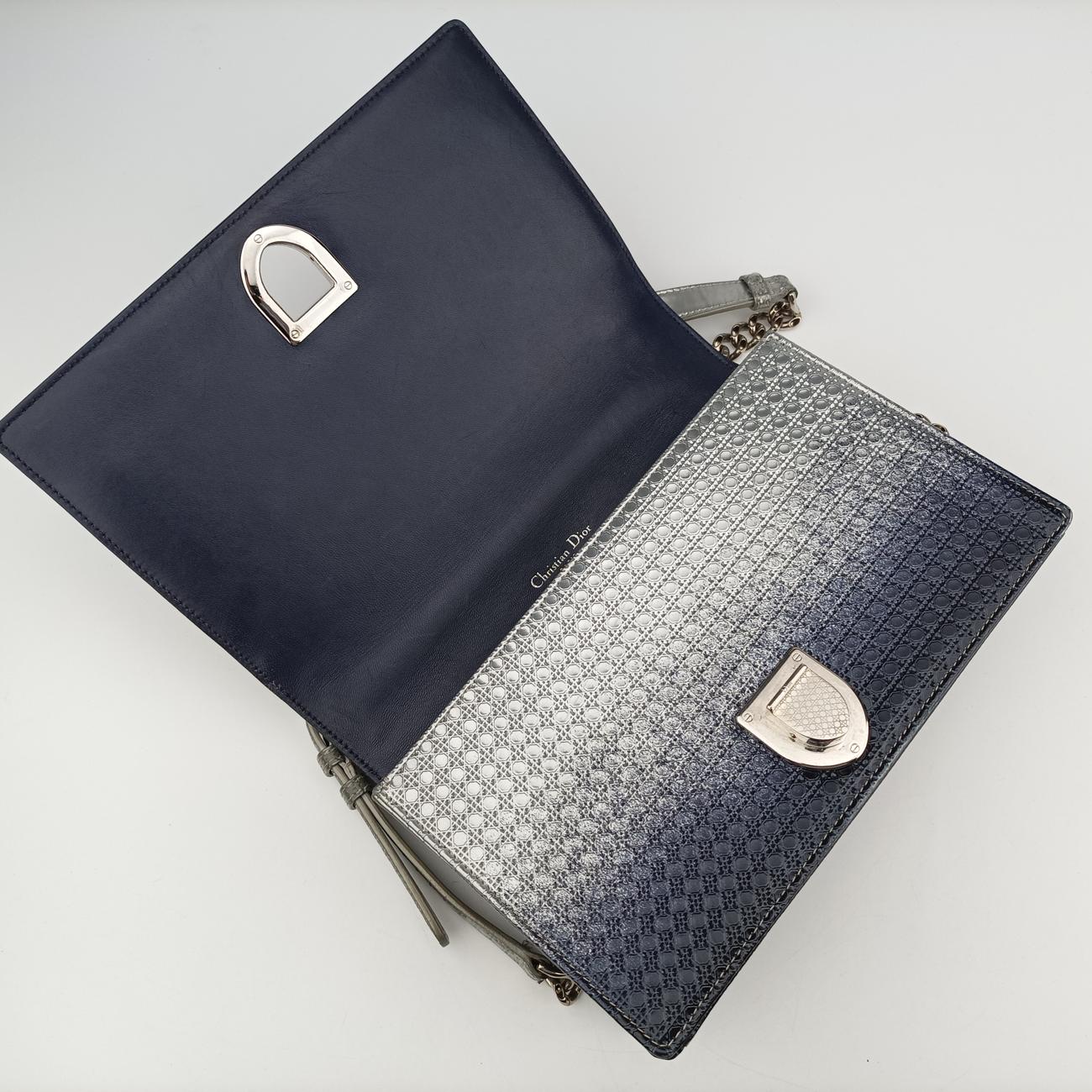 Pre-owned Christian Dior Diorama Silver×Multicolour Leather  shoulderbag | stylenewstar