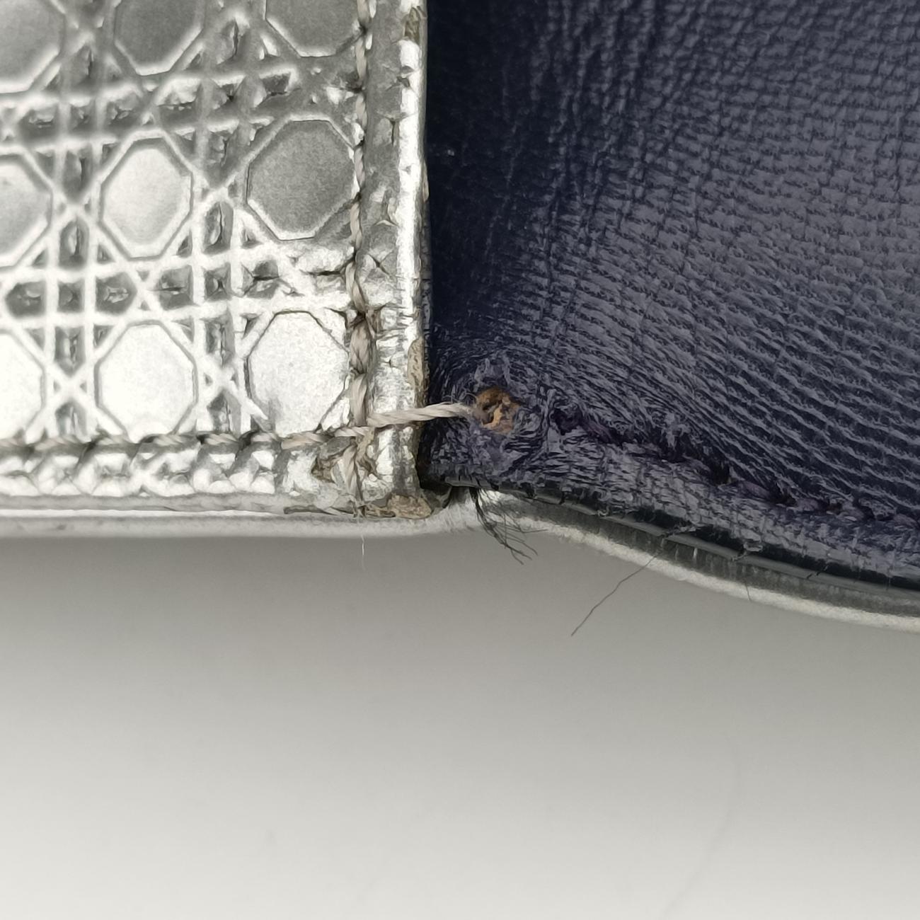 Pre-owned Christian Dior Diorama Silver×Multicolour Leather  shoulderbag | stylenewstar