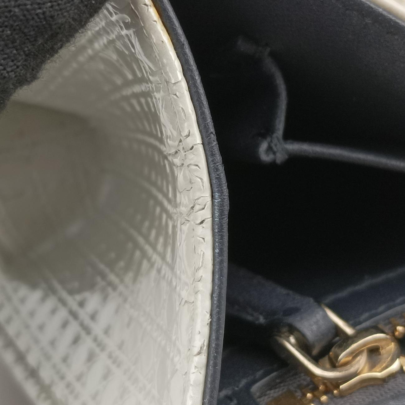 Pre-owned Christian Dior Diorama White Leather  shoulderbag | stylenewstar