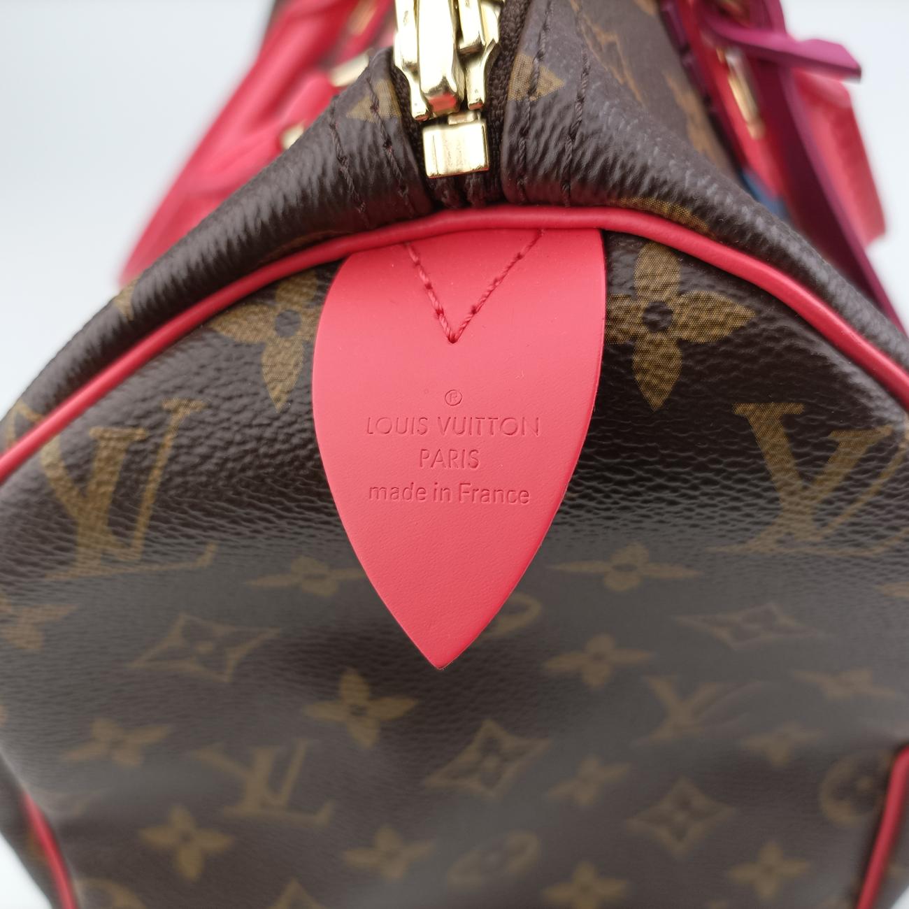 Vintage Louis Vuitton SPEEDY30 brown×Flamingo Monogram Totem M41665 handbag | stylenewstar