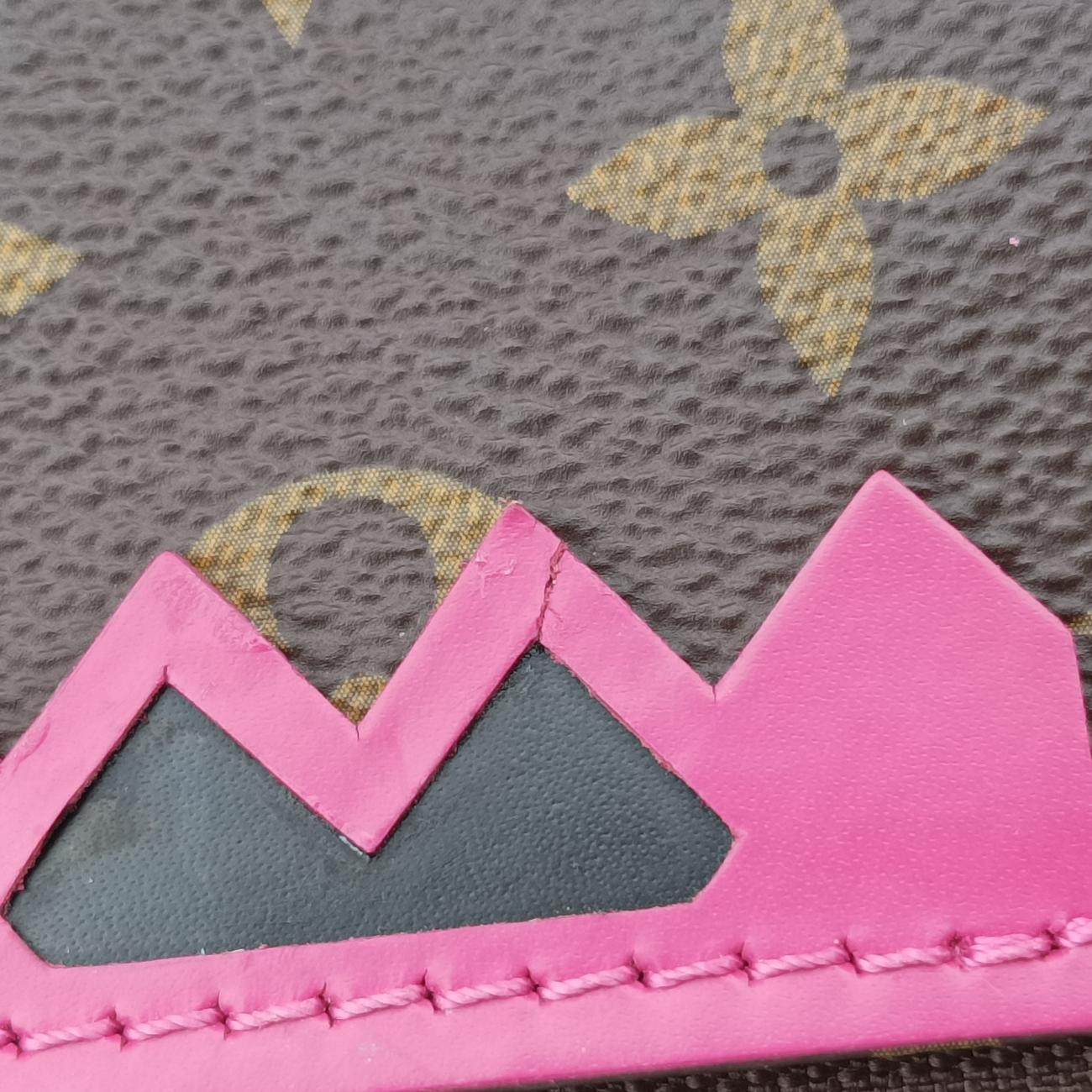 Vintage Louis Vuitton SPEEDY30 brown×Flamingo Monogram Totem M41665 handbag | stylenewstar