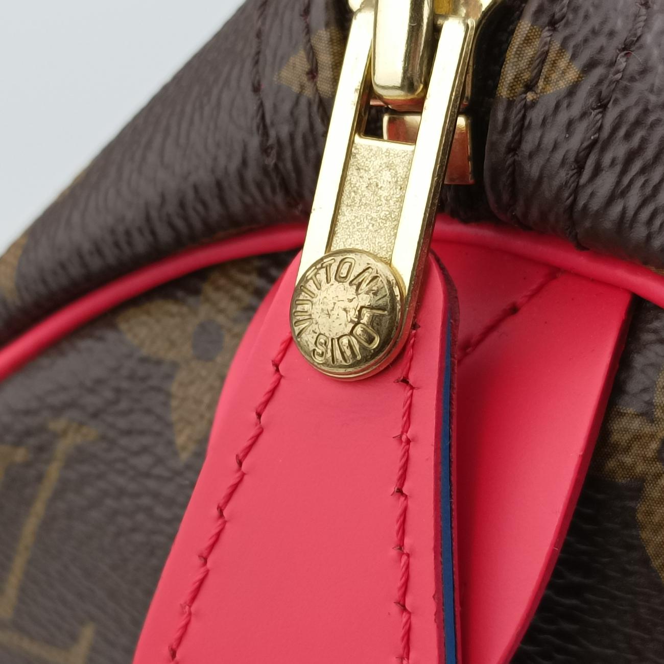 Vintage Louis Vuitton SPEEDY30 brown×Flamingo Monogram Totem M41665 handbag | stylenewstar