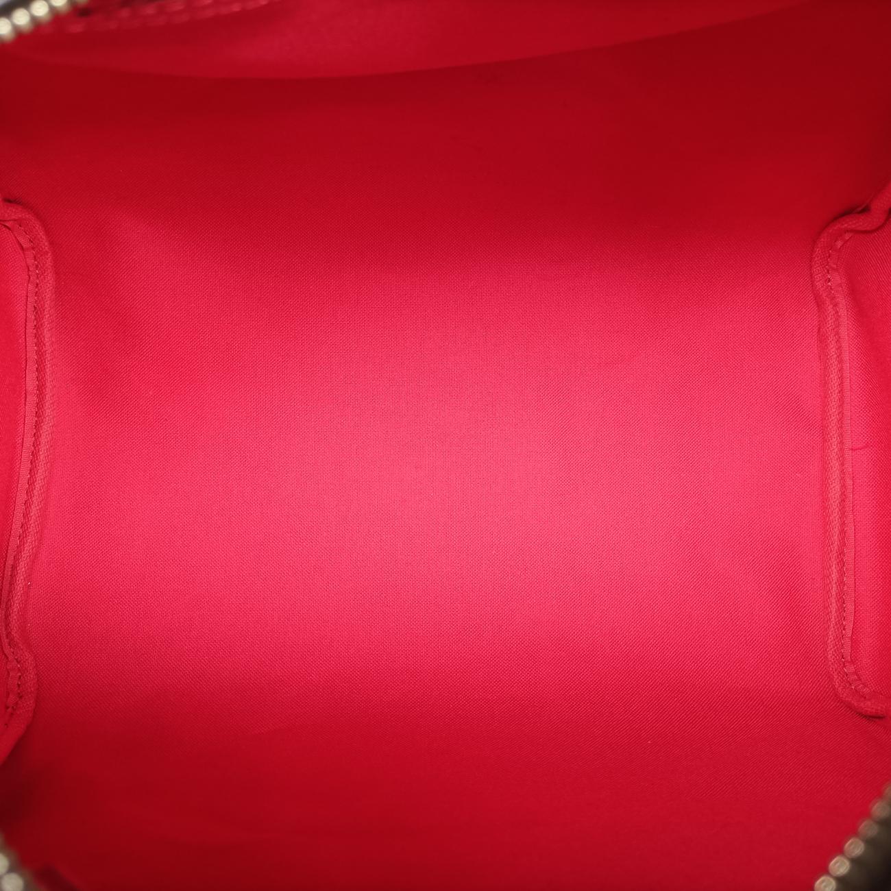 Vintage Louis Vuitton SPEEDY30 brown×Flamingo Monogram Totem M41665 handbag | stylenewstar