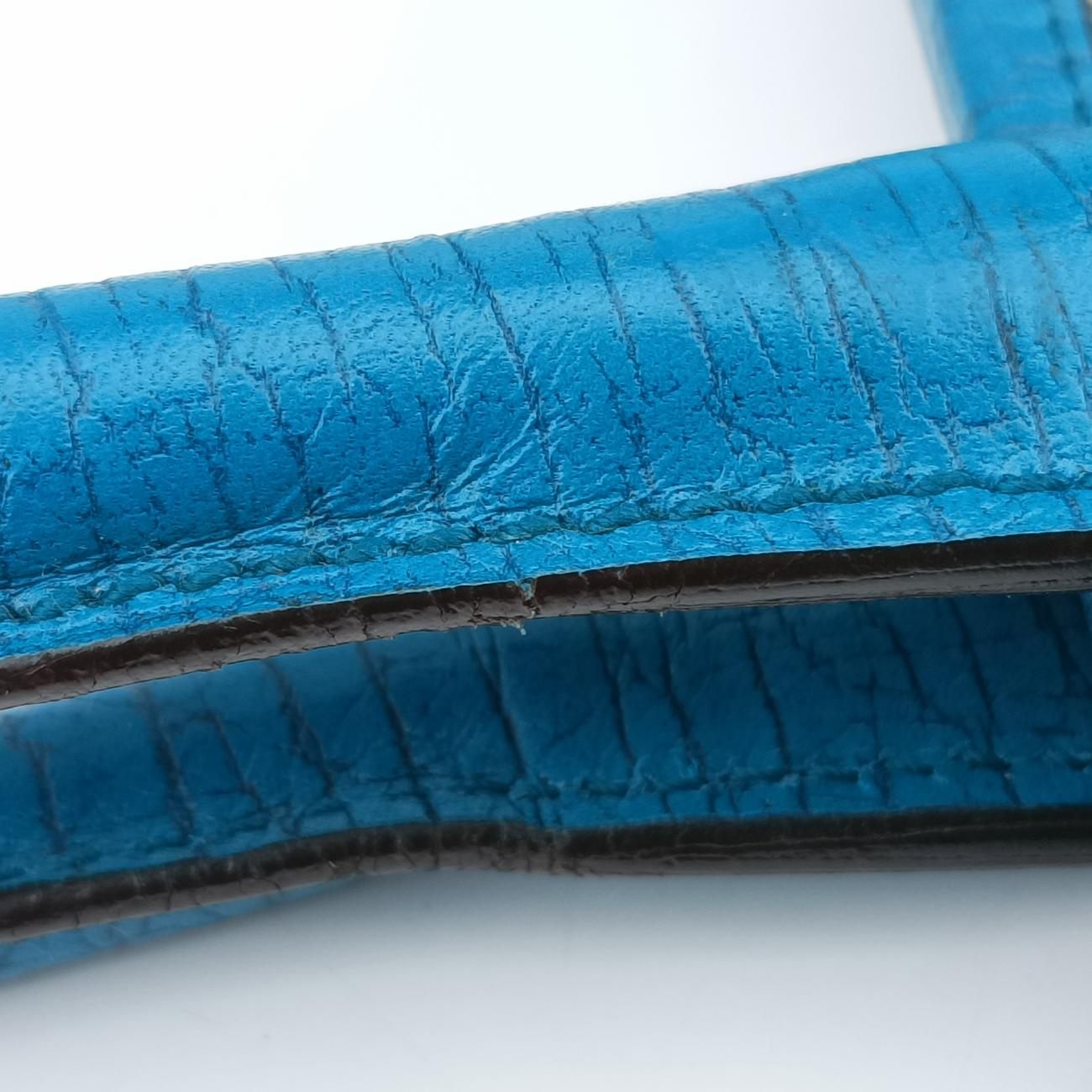 Pre-owned Gucci GG Supreme Beige x Blue PVC coated canvas 114288 handbag | stylenewstar