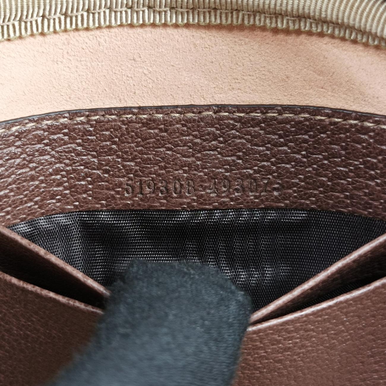 Pre-owned Gucci Ophidia Brown×green×red PVC coated canvas x leather 519308 bum bag/waist bag | stylenewstar