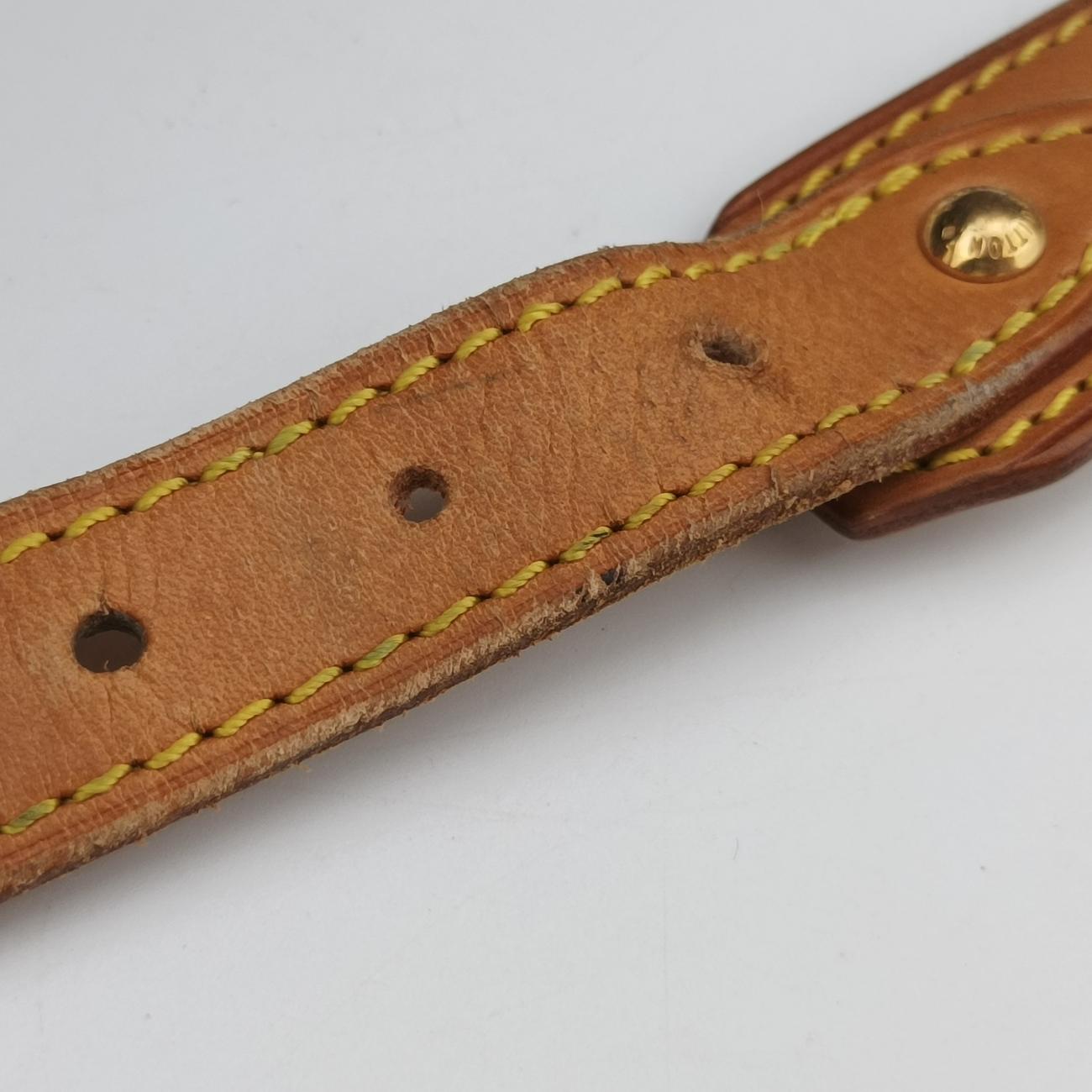 Pre-owned Louis Vuitton Lodge GM Noir   Monogram Multicolor M40052 shoulderbag | stylenewstar