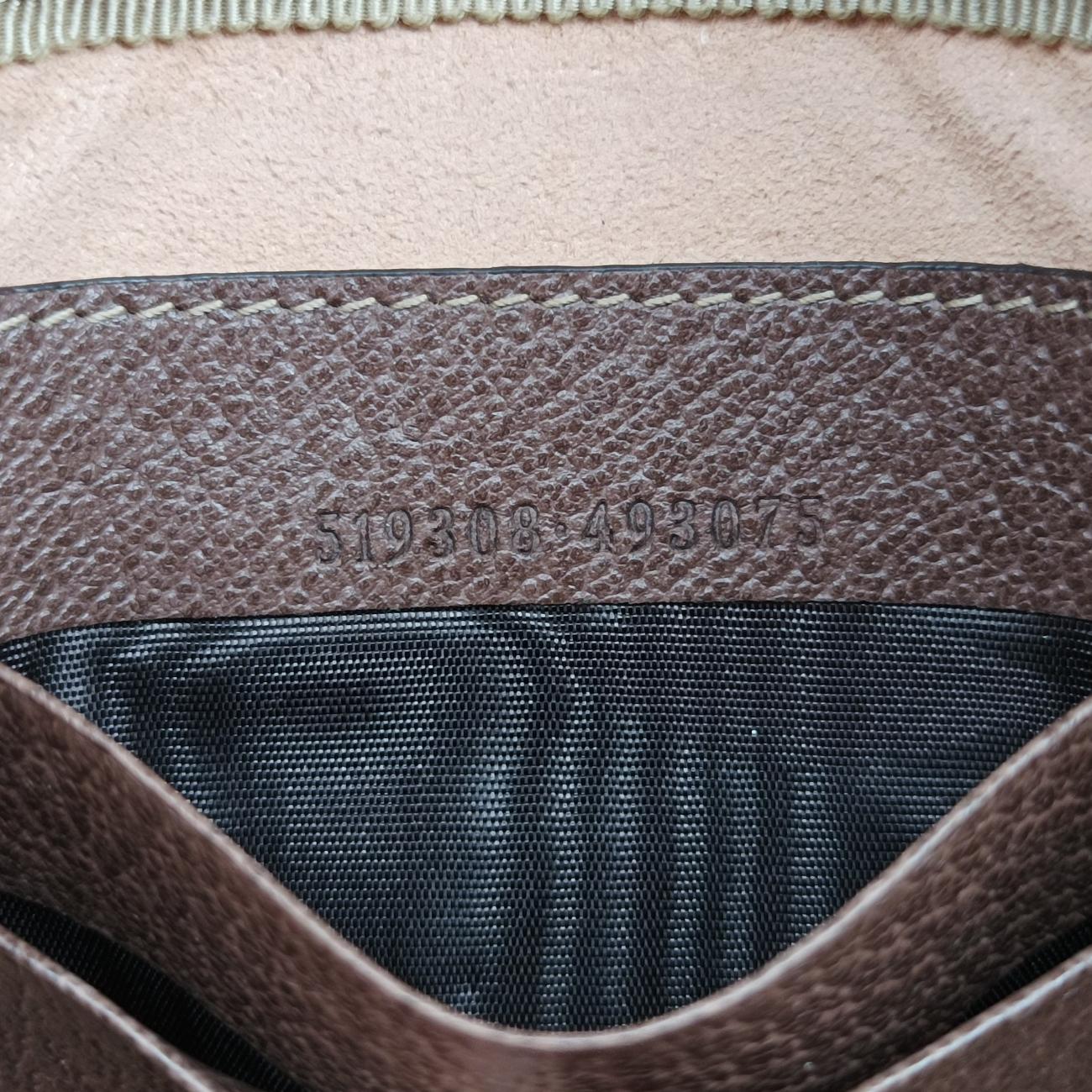 Pre-owned Gucci Ophidia Brown×Multicolour PVC coated canvas 519308 bum bag/waist bag | stylenewstar