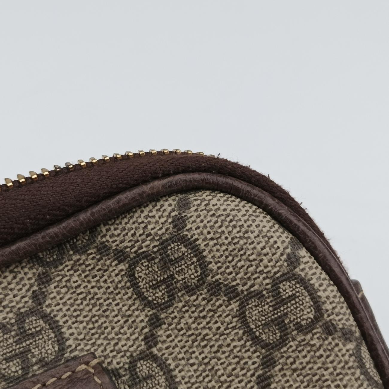 Pre-owned Gucci Ophidia Brown×Multicolour PVC coated canvas 519308 bum bag/waist bag | stylenewstar