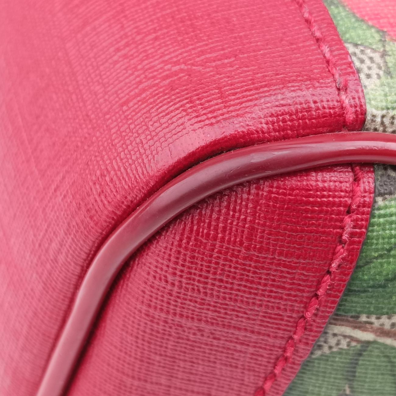 Pre-owned Gucci GG Supreme Tian beige×Multicolour PVC coated canvas 427042 backpack/rucksack | stylenewstar