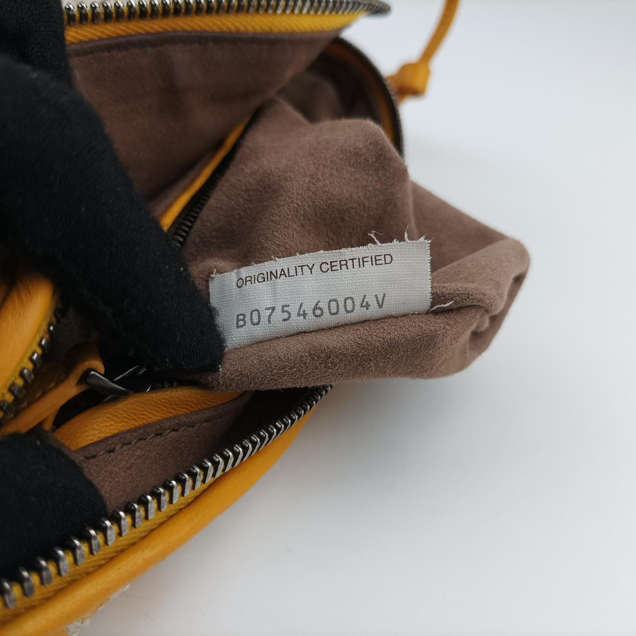 Pre-owned Bottega Veneta Intrecciato yellow×Multicolour lambskin  shoulderbag | stylenewstar