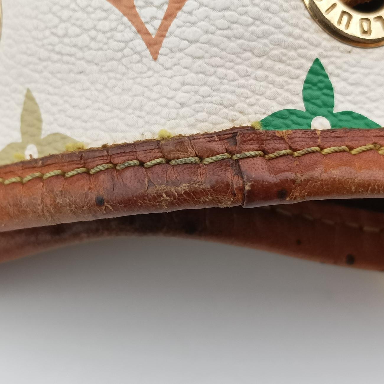 Secondhand Louis Vuitton Petit NOé white Monogram Multicolor M42229 shoulderbag | stylenewstar