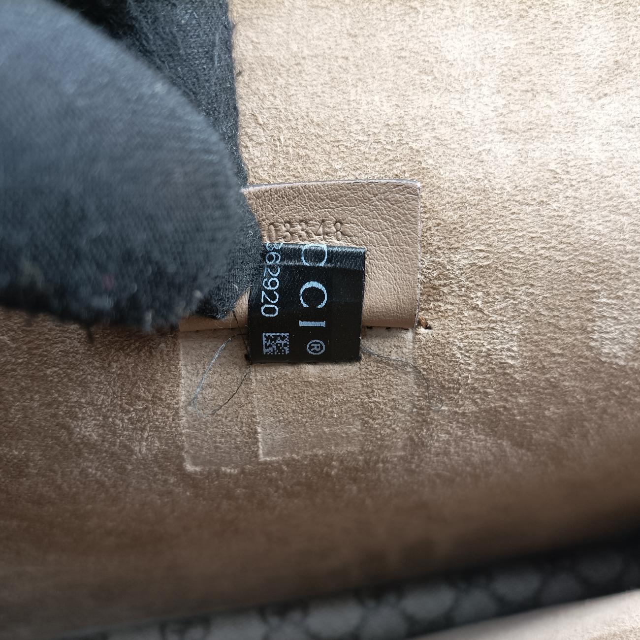 Pre-owned Gucci Dionysus beige×Multicolour PVC coated canvas × suede 403348 shoulderbag | stylenewstar