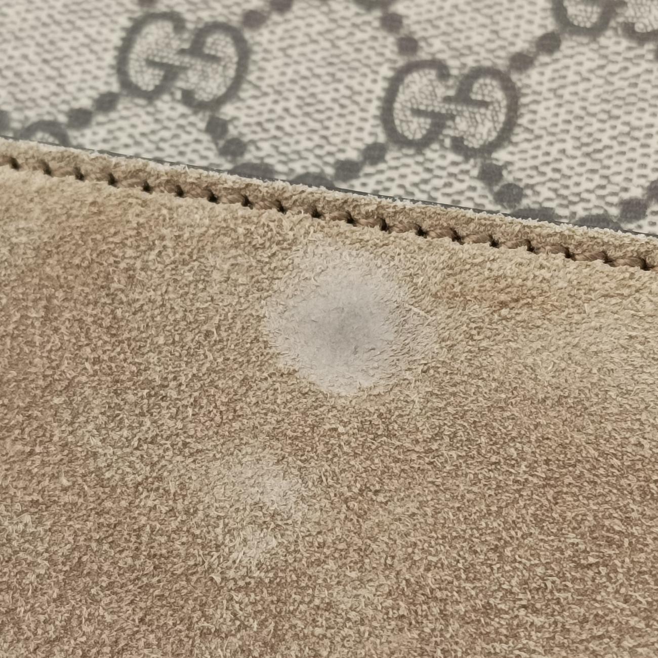 Pre-owned Gucci Dionysus beige×Multicolour PVC coated canvas × suede 403348 shoulderbag | stylenewstar