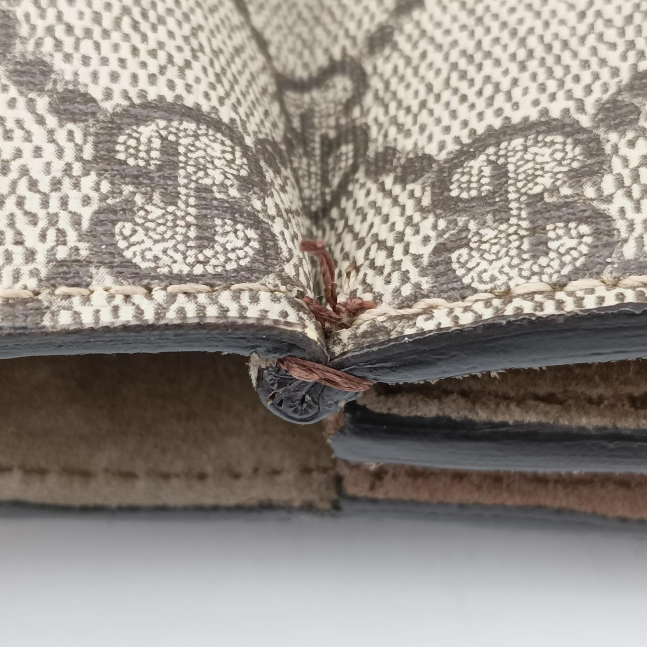 Pre-owned Gucci Dionysus beige×Multicolour PVC coated canvas × suede 403348 shoulderbag | stylenewstar