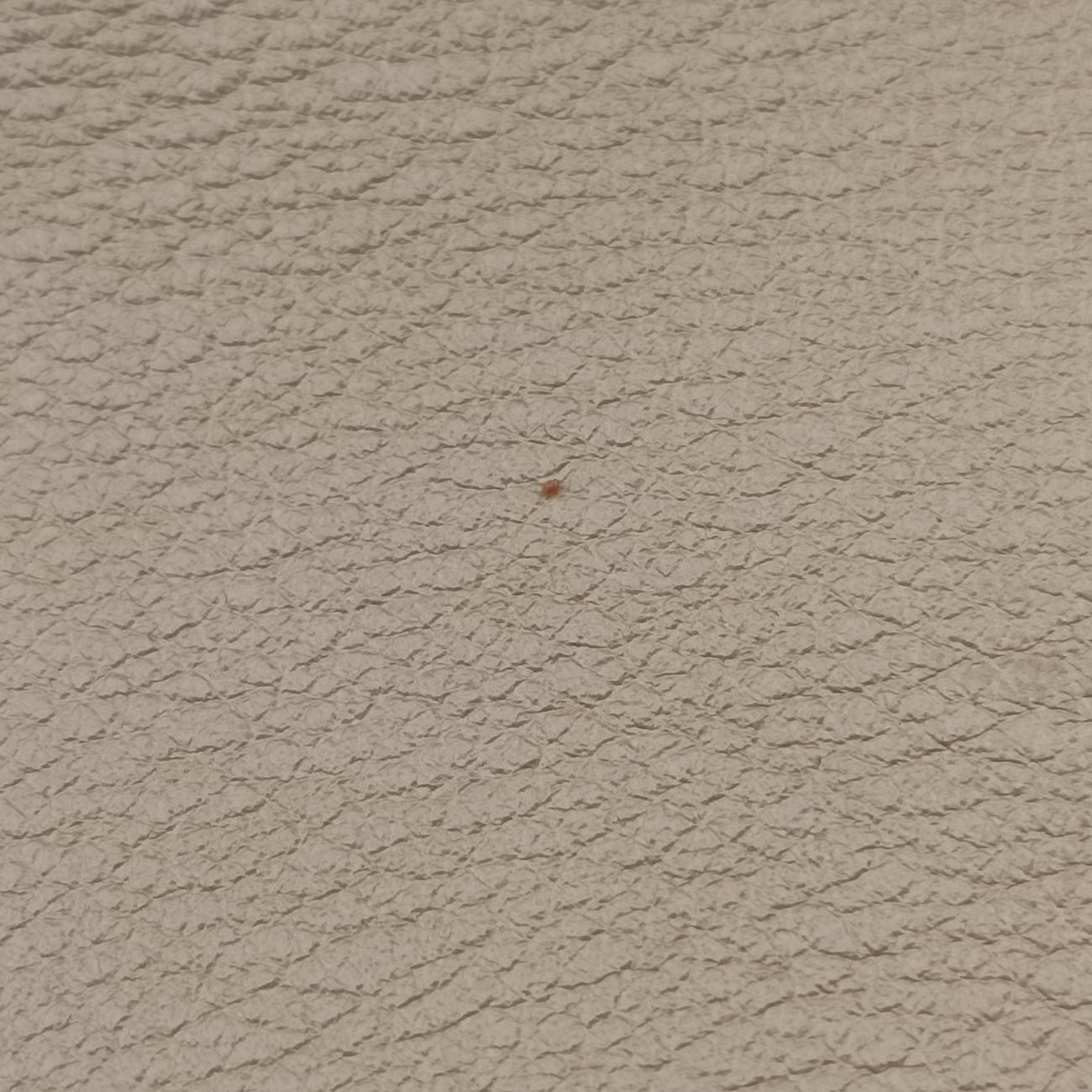 Pre-owned Chloe FAYE mini Grey Suede × leather  backpack/rucksack | stylenewstar