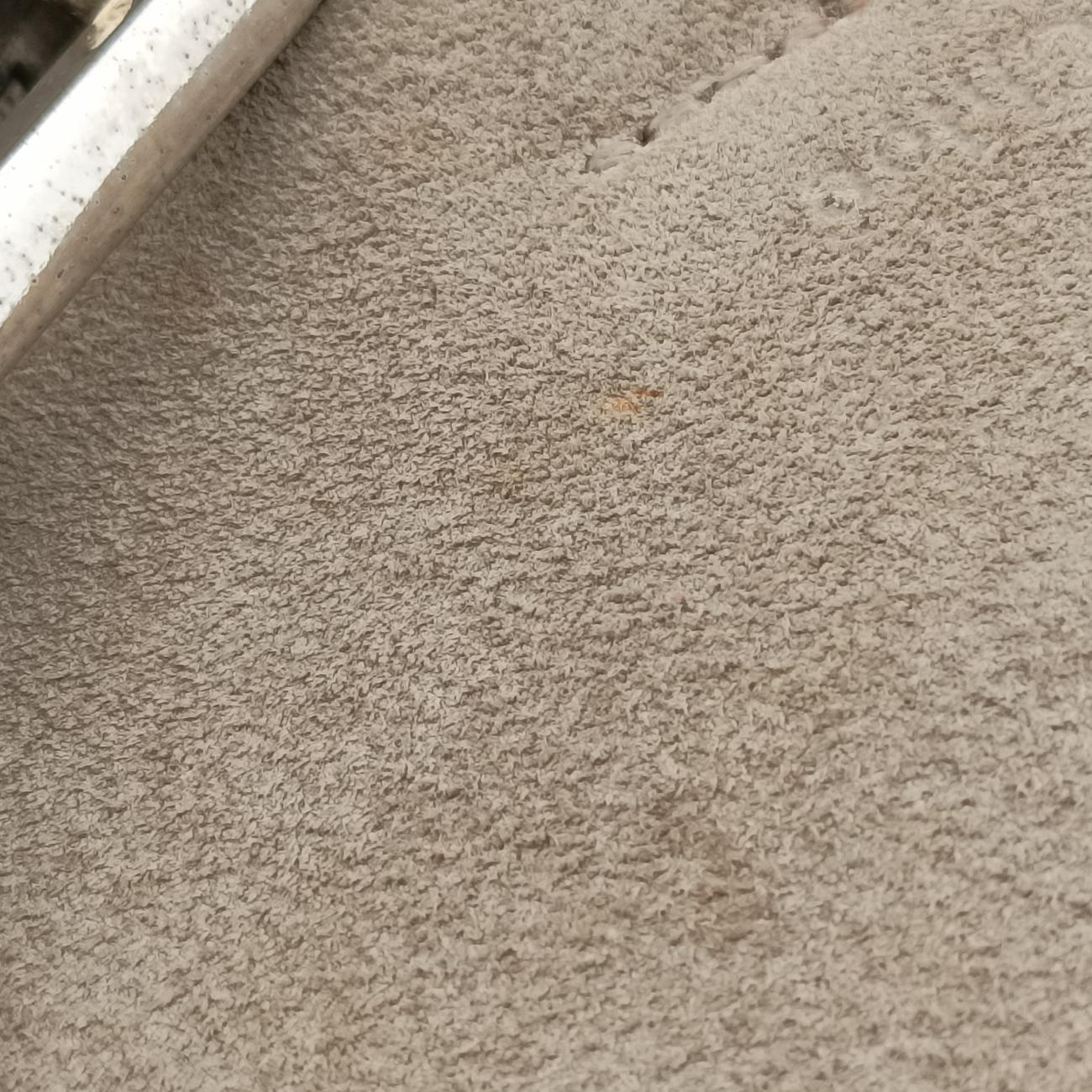 Pre-owned Chloe FAYE mini Grey Suede × leather  backpack/rucksack | stylenewstar