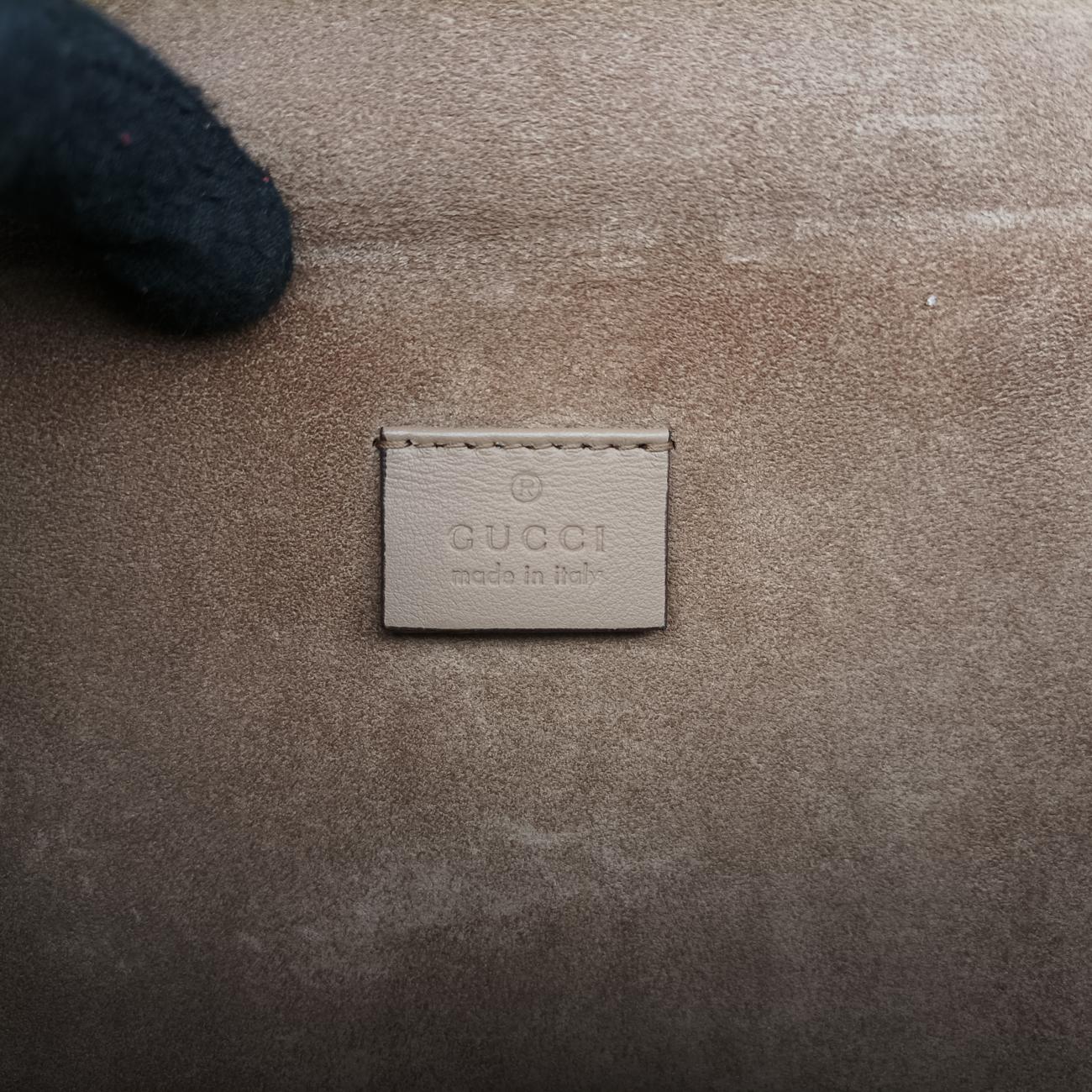 Pre-owned Gucci Dionysus Beige×Multicolour PVC coated canvas 403348 shoulderbag | stylenewstar