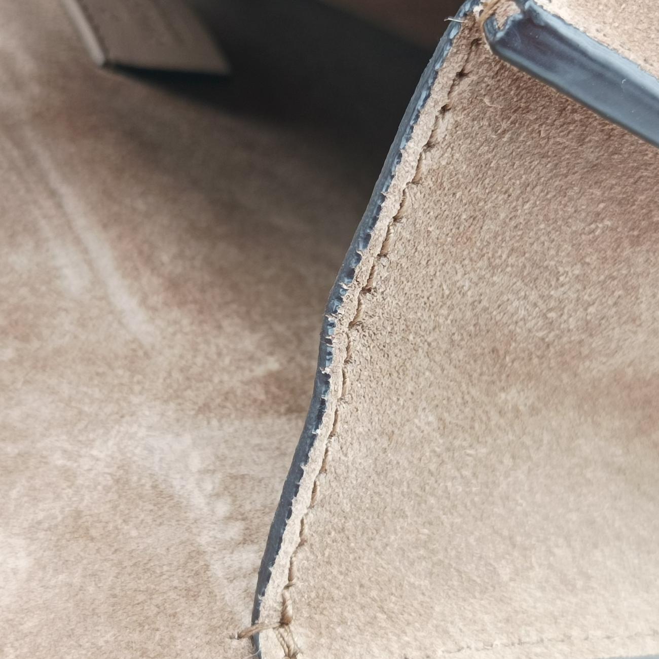 Pre-owned Gucci Dionysus Beige×Multicolour PVC coated canvas 403348 shoulderbag | stylenewstar