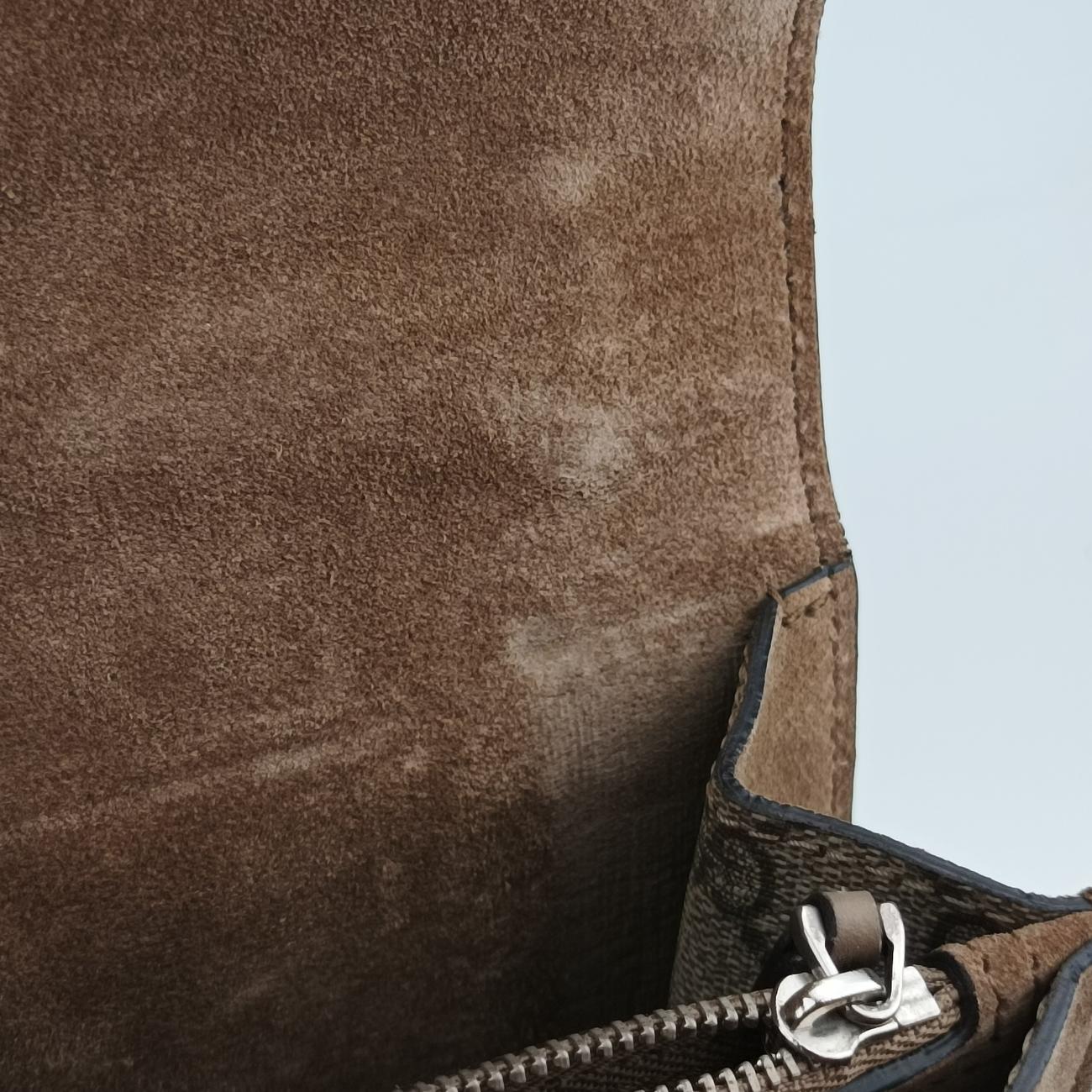 Pre-owned Gucci Dionysus Beige×Multicolour PVC coated canvas 403348 shoulderbag | stylenewstar