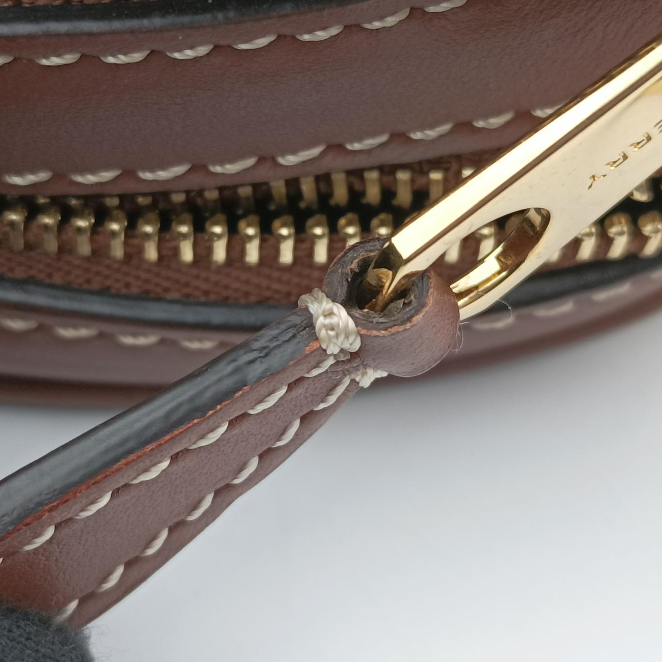 Pre-owned Burberry LOUISE Beige×Brown Canvas x Leather  shoulderbag | stylenewstar