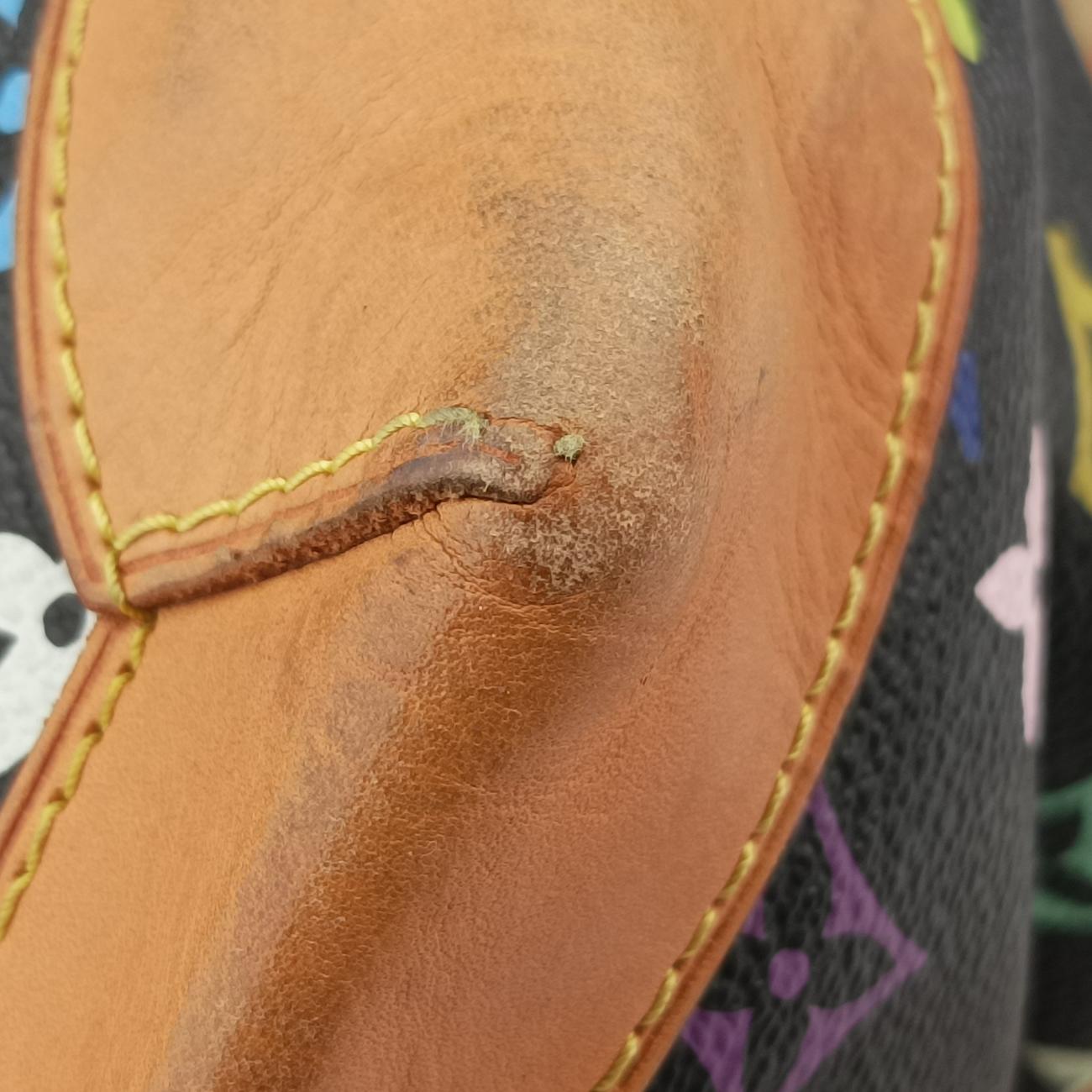 Pre-owned Louis Vuitton URSULA Noir Monogram Multicolor M40124 handbag | stylenewstar